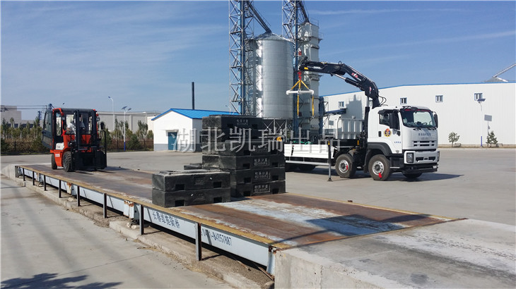 糧庫(kù)汽車衡整體檢測(cè)現(xiàn)場(chǎng) 糧庫(kù)汽車衡整體檢測(cè)現(xiàn)場(chǎng)